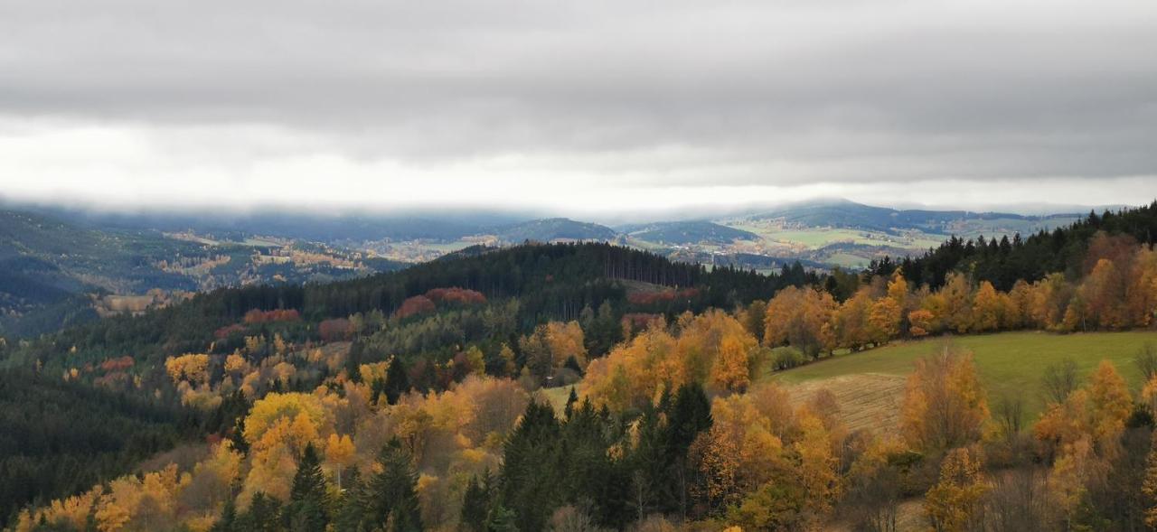 Hotel Zlaty Potok Nicov  エクステリア 写真