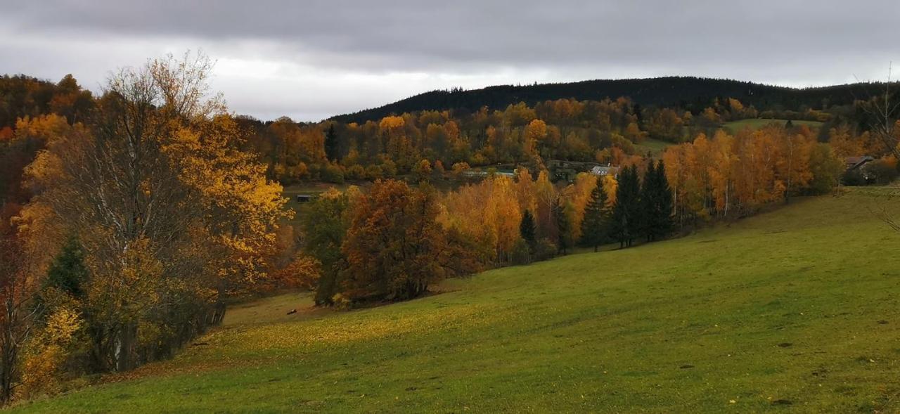 Hotel Zlaty Potok Nicov  エクステリア 写真