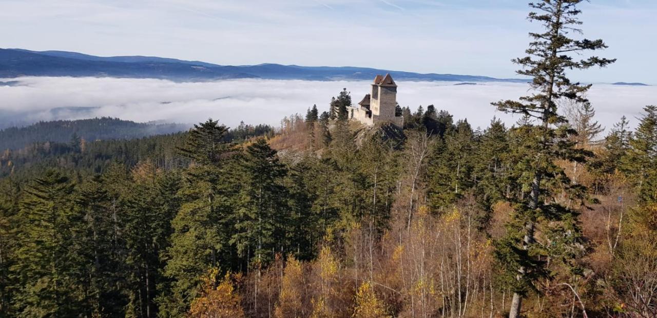Hotel Zlaty Potok Nicov  エクステリア 写真