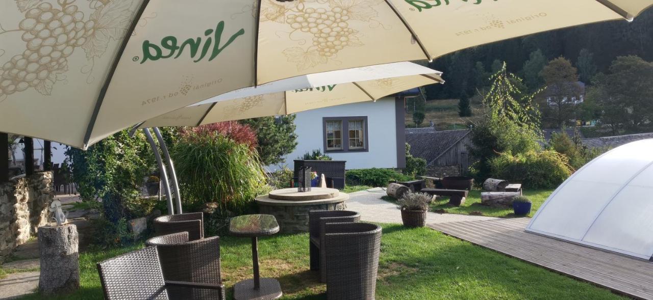 Hotel Zlaty Potok Nicov  エクステリア 写真