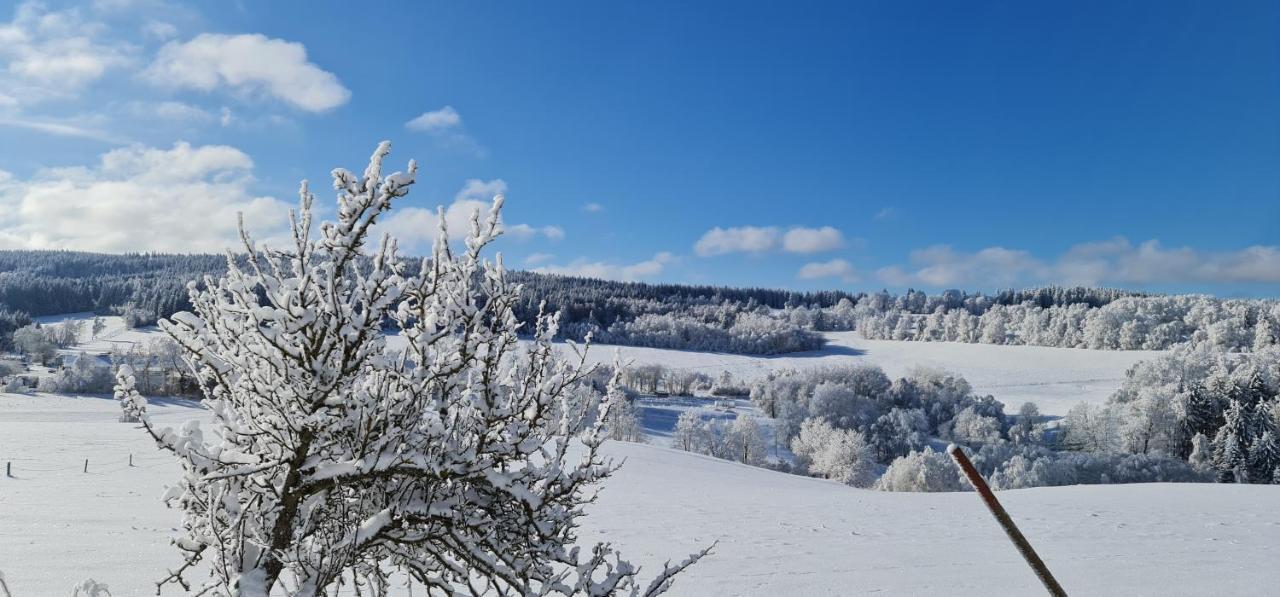 Hotel Zlaty Potok Nicov  エクステリア 写真