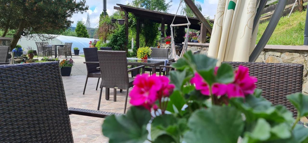 Hotel Zlaty Potok Nicov  エクステリア 写真