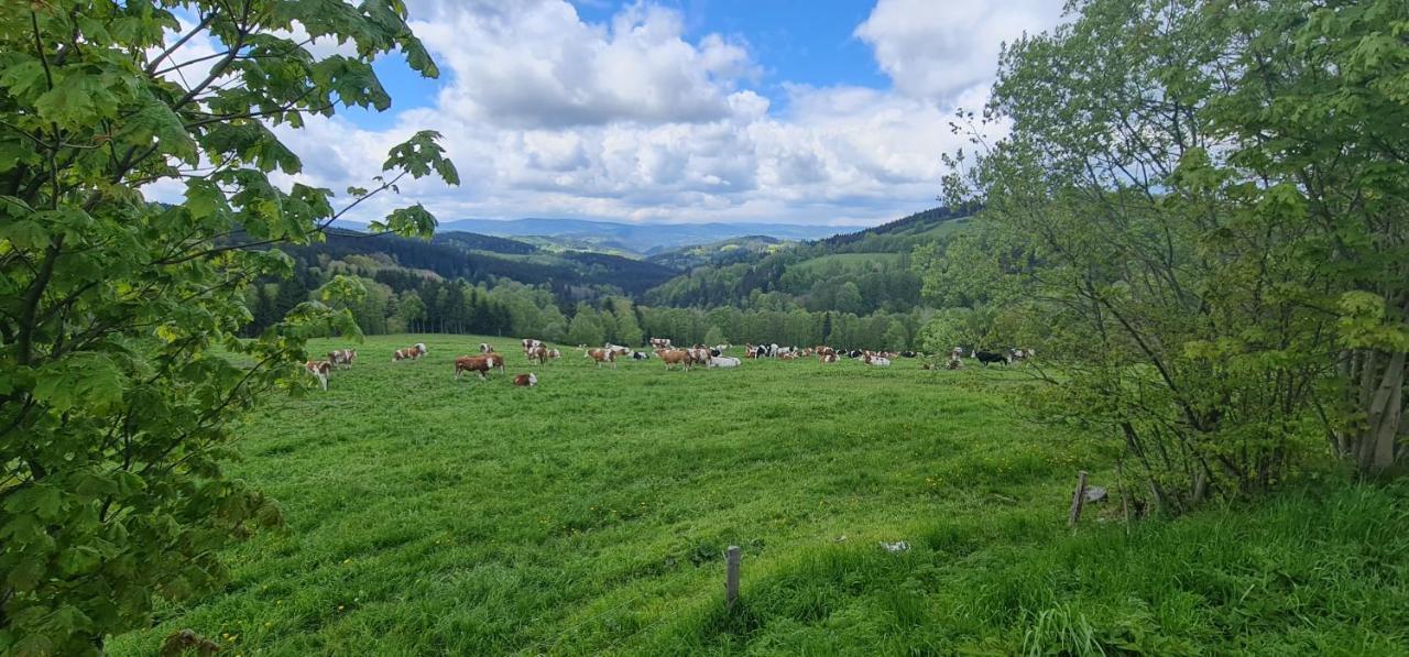 Hotel Zlaty Potok Nicov  エクステリア 写真
