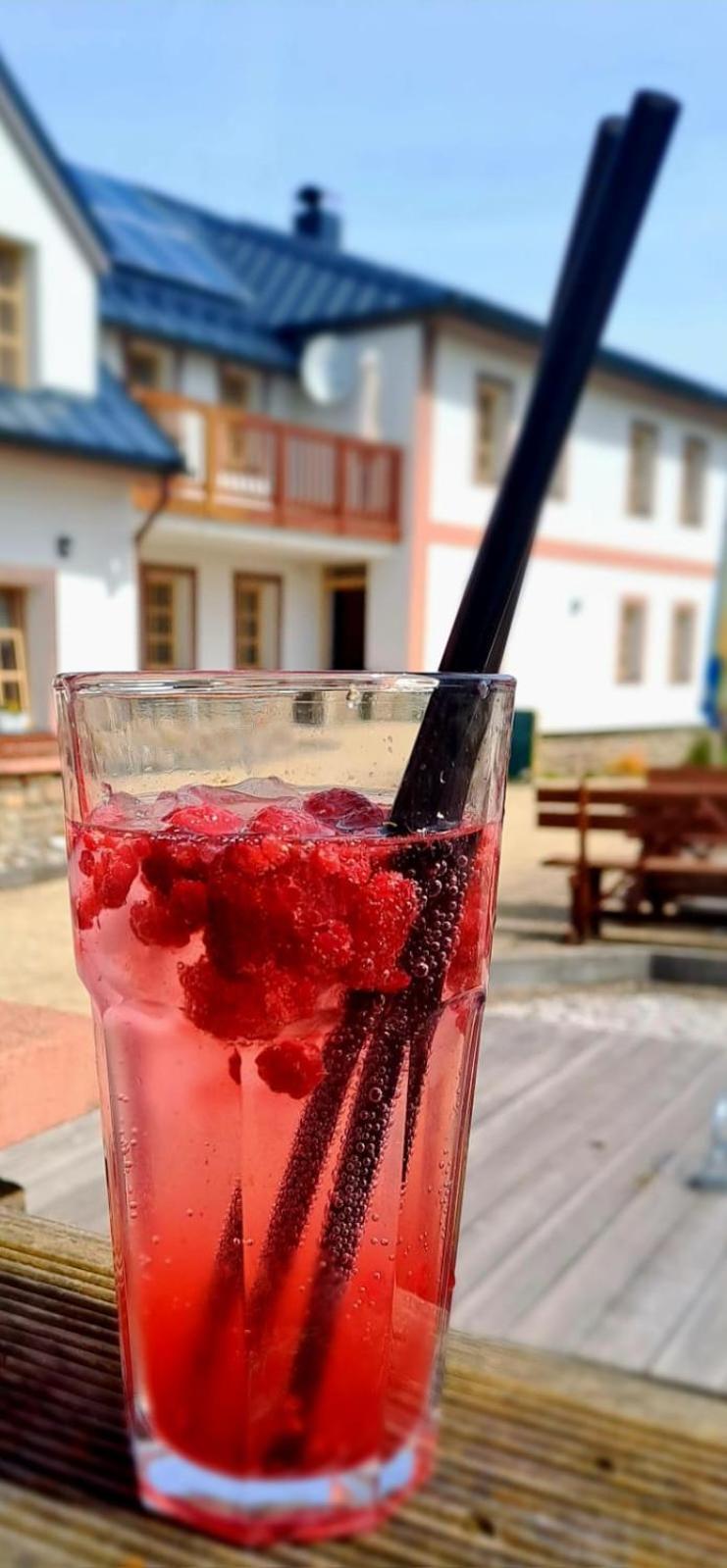 Hotel Zlaty Potok Nicov  エクステリア 写真